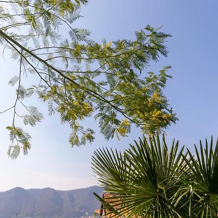 La Casetta Di Erica Como